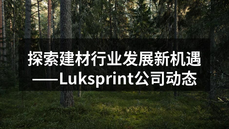 探索建材行业发展新机遇——Luksprint公司动态