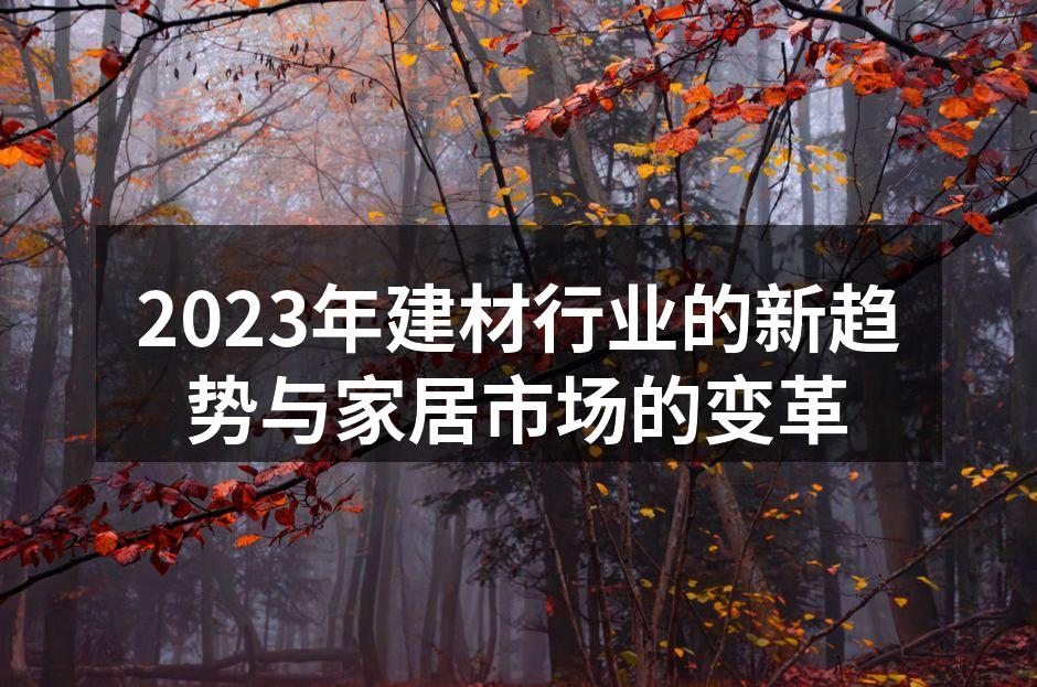 2023年建材行业的新趋势与家居市场的变革