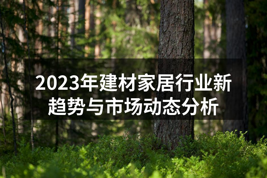 2023年建材家居行业新趋势与市场动态分析